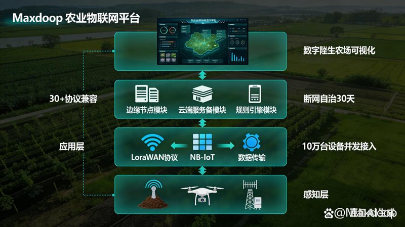 西安农业互联网：一场华丽的数字变革