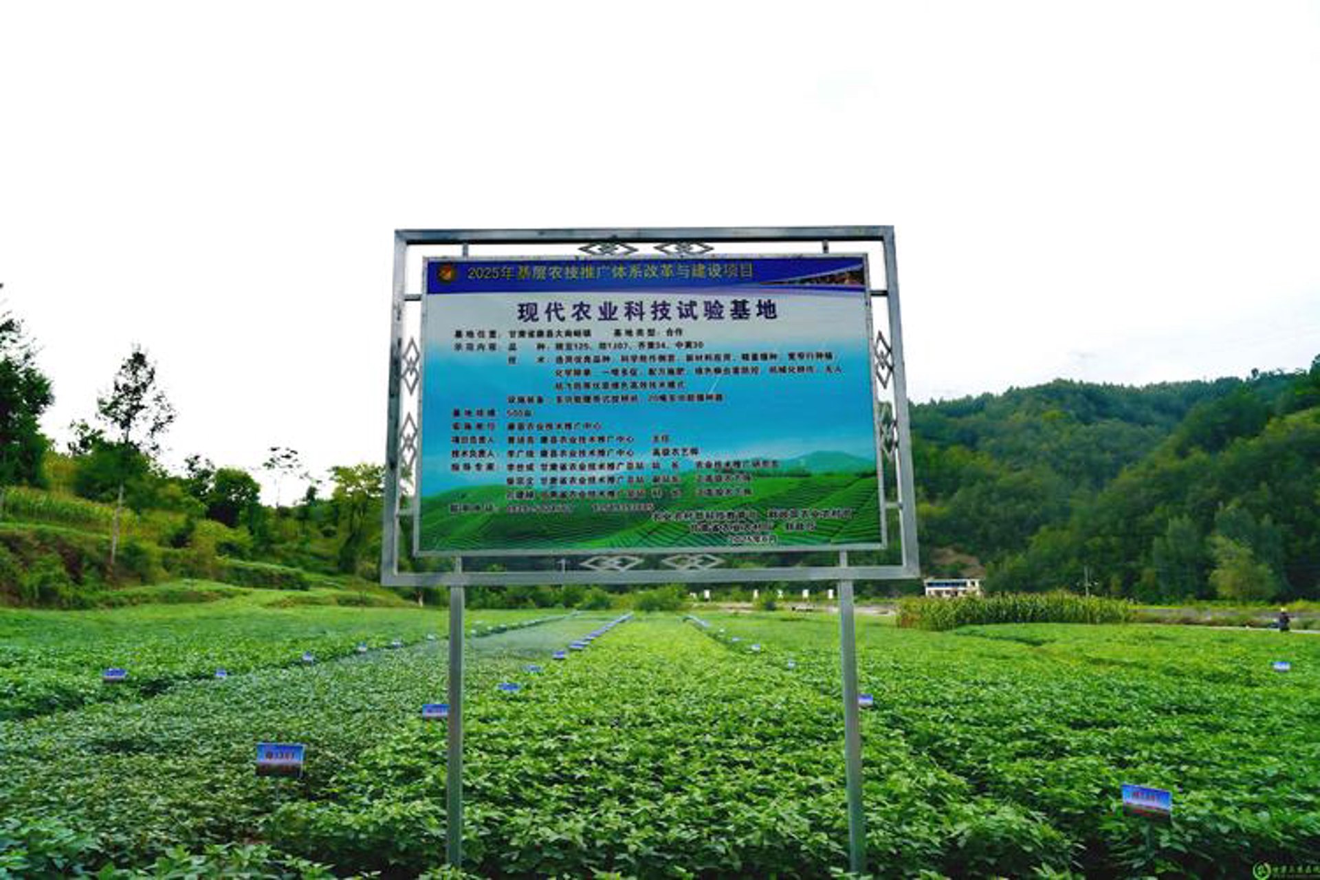 三农巴巴科技