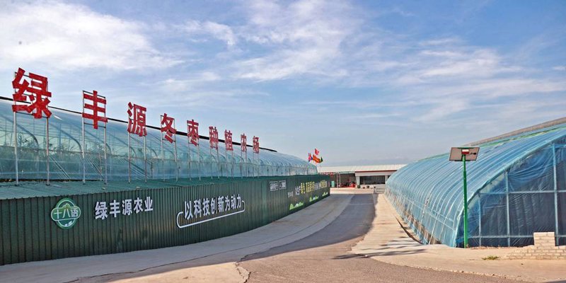 西安农业互联网的发展与变化