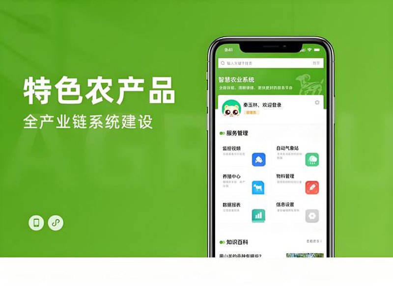 农村电商平台开发