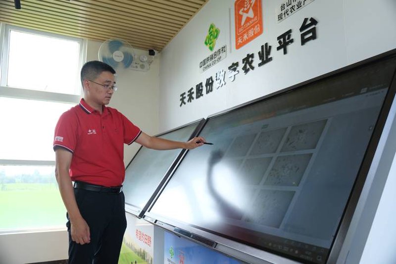 农村电商平台开发——电商时代的乡村振兴新引擎